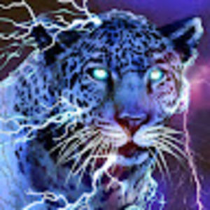 Meet your Posher, Makenna